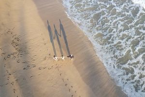 The Link Between Financial Wellness and Your Health